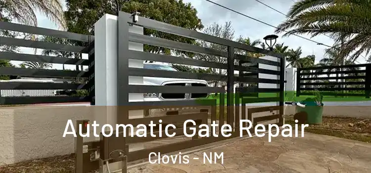 Automatic Gate Repair Clovis - NM