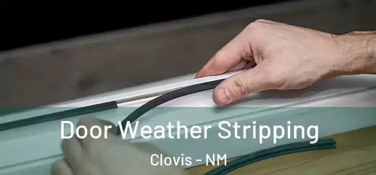Door Weather Stripping Clovis - NM
