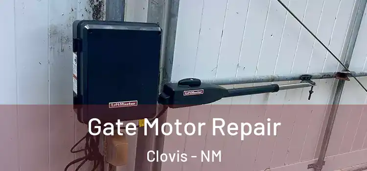 Gate Motor Repair Clovis - NM