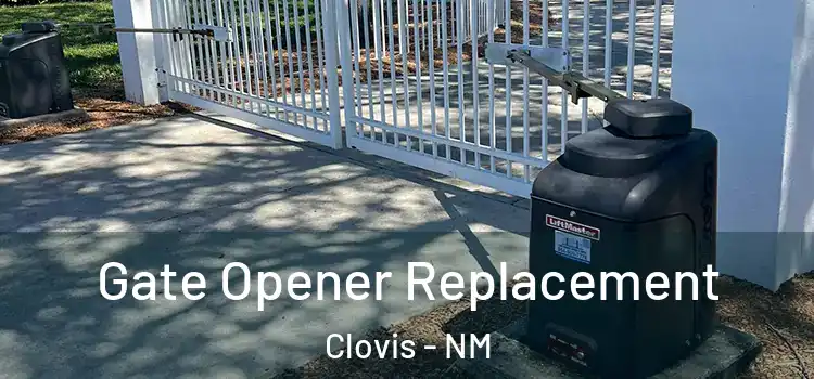 Gate Opener Replacement Clovis - NM