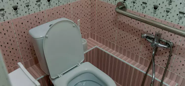 Meeting Diverse Needs With Accessible Restroom Solutions in Clovis, NM