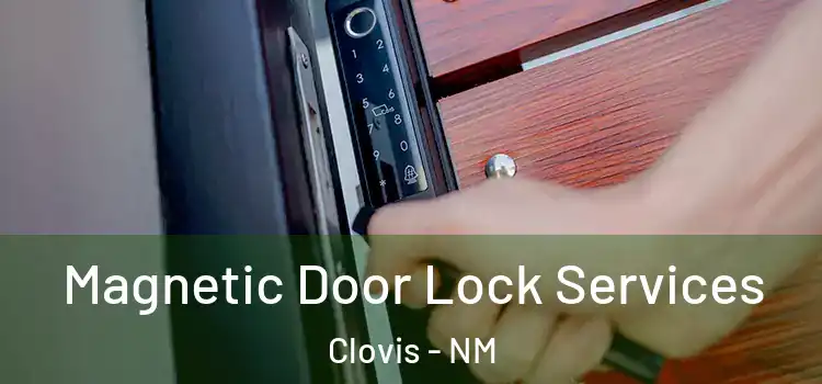 Magnetic Door Lock Services Clovis - NM