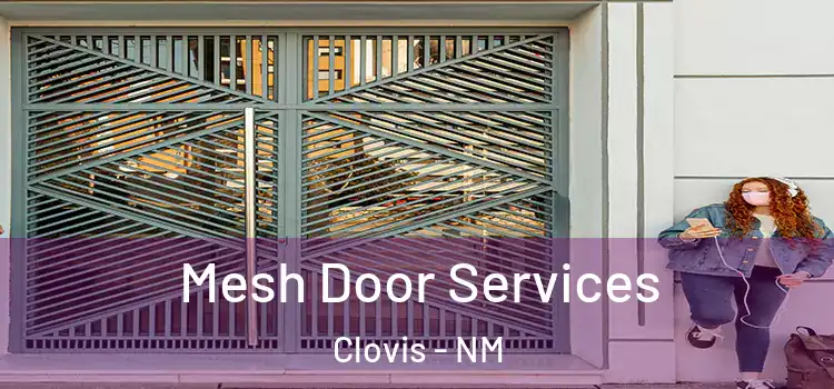 Mesh Door Services Clovis - NM