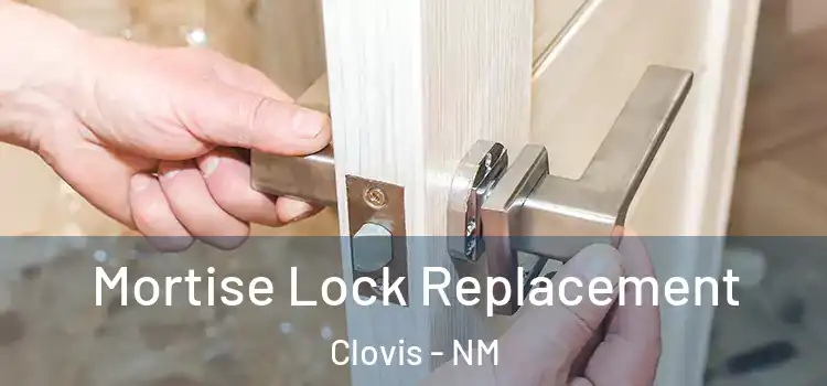 Mortise Lock Replacement Clovis - NM