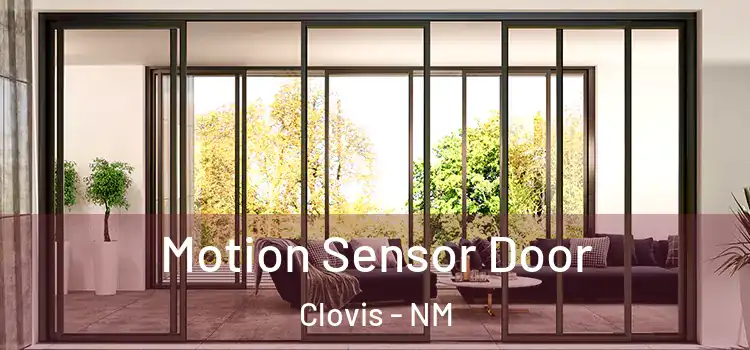 Motion Sensor Door Clovis - NM