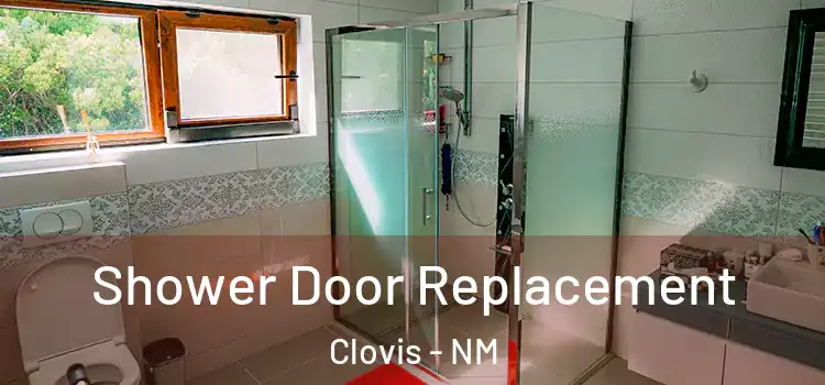Shower Door Replacement Clovis - NM