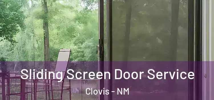 Sliding Screen Door Service Clovis - NM